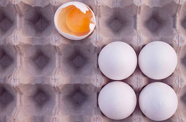 تصویر 4 از تخم مرغ ارگانیک تازه با طعم طبیعی و سالم