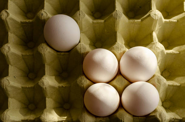 تصویر 1 از تخم مرغ ارگانیک تازه با طعم طبیعی و سالم