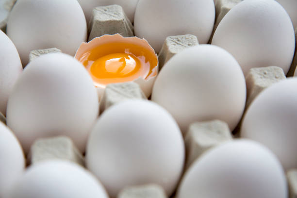 تخم مرغ ارگانیک تازه با طعم طبیعی و سالم