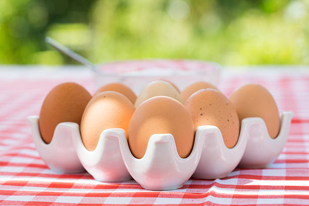 تصویر 4 از تخم مرغ محلی با طعم اصیل و خوشمزه