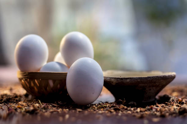 تخم مرغ تازه با بافت نرم و زرده سفت