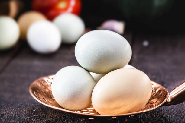 تخم مرغ طبیعی با پروتئین بالا و طعم عالی