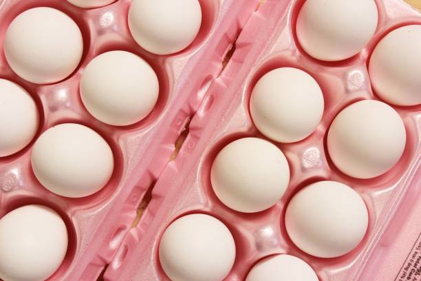 تصویر 2 از تخم مرغ ارگانیک با زرده خوشرنگ و خوش طعم