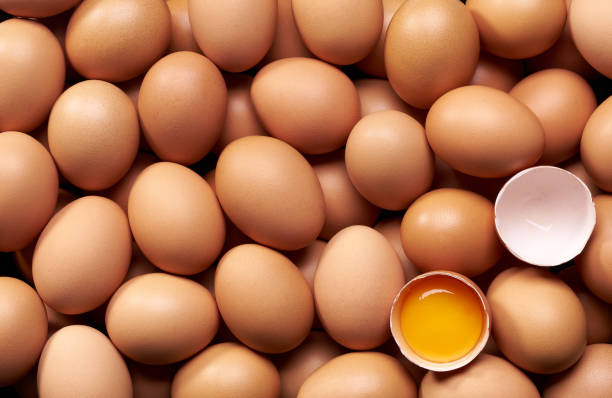 تصویر 3 از تخم مرغ ارگانیک با زرده خوشرنگ و خوش طعم