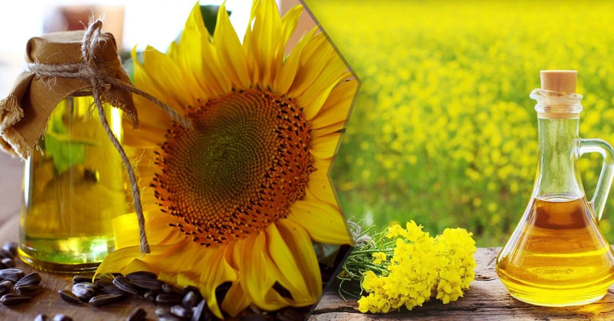 تصویر 4 از روغن گیاهی آفتابگردان سبک مناسب پخت روزانه