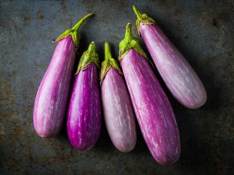 بادمجان بنفش