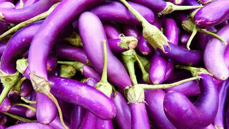 فروش بادمجان بنفش