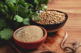 تخم گشنیز مرغوب با عطر اصیل و طعم طبیعی