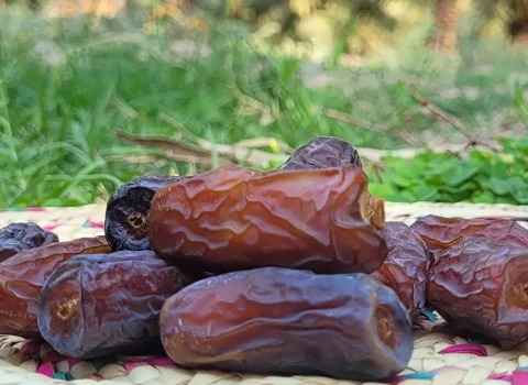 تصویر 3 از خرما پیارم خشک با طعم شیرین و مقوی