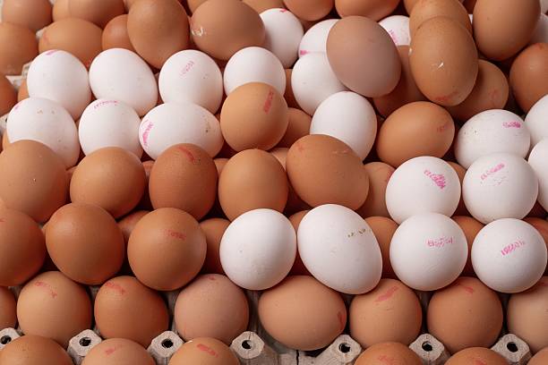 تصویر 2 از تخم مرغ محلی با زرده طلایی و پروتئین بالا