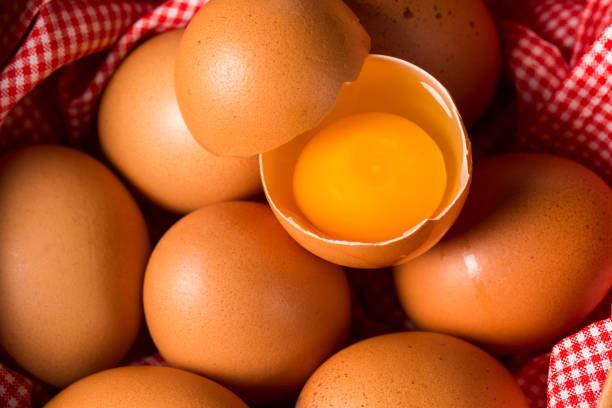 تصویر 4 از تخم مرغ محلی با زرده طلایی و پروتئین بالا