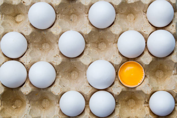 تصویر 2 از تخم مرغ سالم با زرده غنی و پوست مقاوم