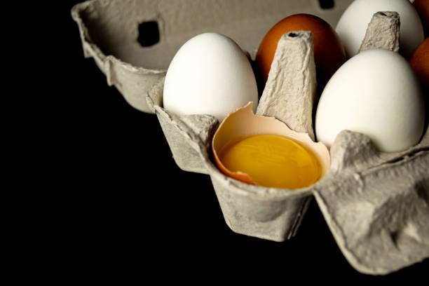 تصویر 3 از تخم مرغ تازه با زرده پررنگ و کیفیت بالای پروتئین