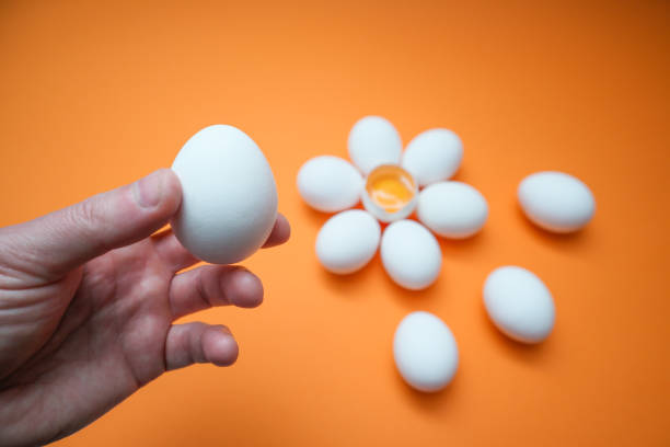 تصویر 4 از تخم مرغ تازه با زرده پررنگ و کیفیت بالای پروتئین