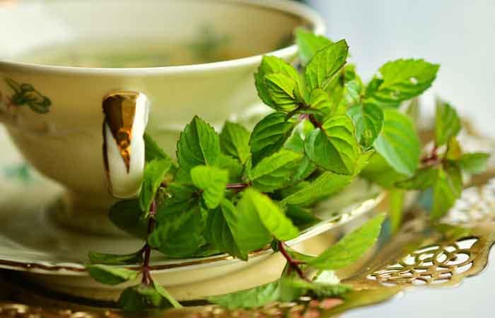 تصویر 3 از عرق نعنا فلفلی سنتی خالص و بهداشتی