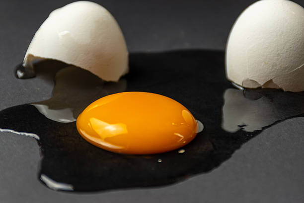 تخم مرغ ارگانیک با طعم طبیعی و بدون هورمون