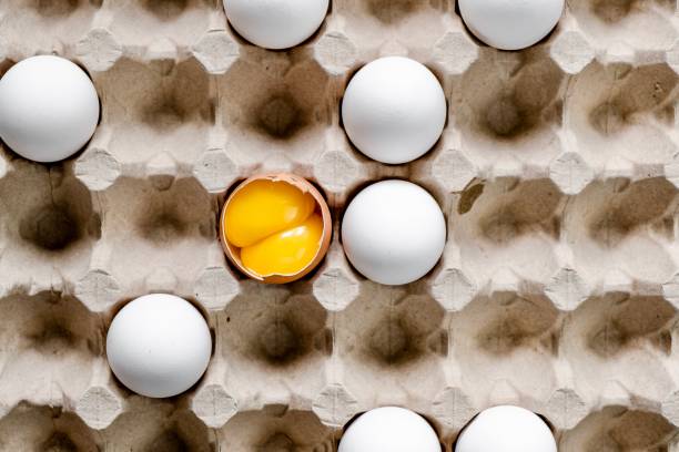 تصویر 1 از تخم مرغ ارگانیک با طعم طبیعی و بدون هورمون