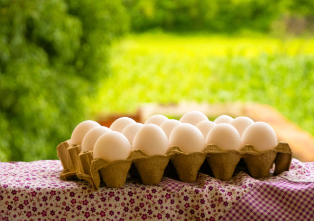 تصویر 3 از تخم مرغ سالم با ویژگی‌ های تغذیه‌ ای منحصر به فرد