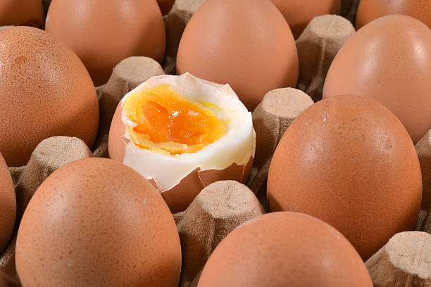 تصویر 3 از تخم مرغ محلی تازه با زرده غنی و طعم اصیل