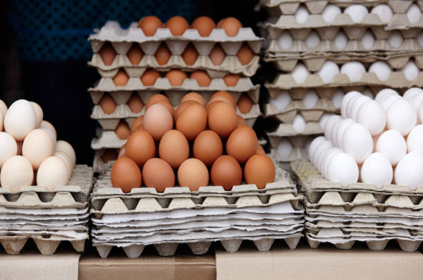 فروش تخم مرغ