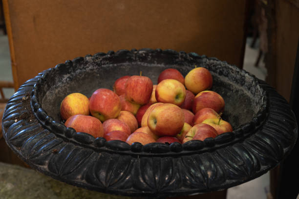 تصویر 4 از میوه خوری سنگ مصنوعی مقاوم سنگین مجلسی