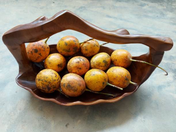 میوه خوری سنگ مصنوعی فانتزی متفاوت دکوراسیون