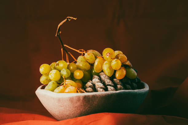 تصویر 1 از میوه خوری سنگ مصنوعی مات طبیعی امروزی