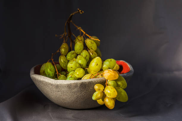 میوه خوری سنگ مصنوعی مات طبیعی امروزی