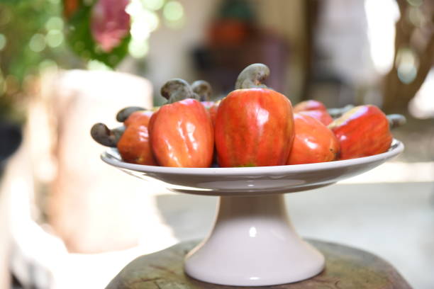 میوه خوری سنگ مصنوعی براق چشمگیر سالنی