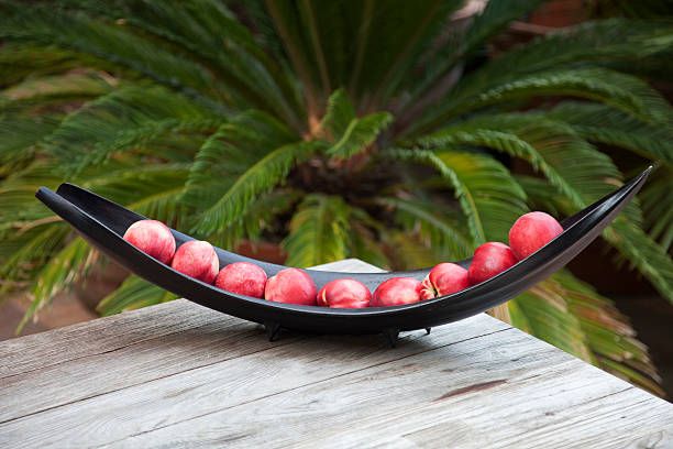 تصویر 4 از میوه خوری سنگ مصنوعی براق چشمگیر سالنی