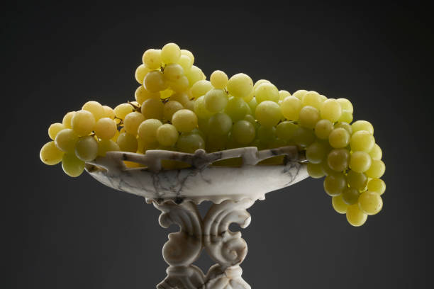 تصویر 2 از میوه خوری سنگ مصنوعی براق چشمگیر سالنی