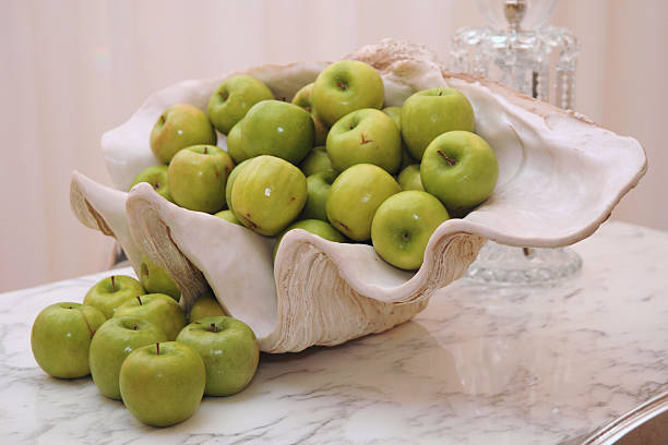 میوه خوری سنگ مصنوعی حجمی ساختاری مفهومی