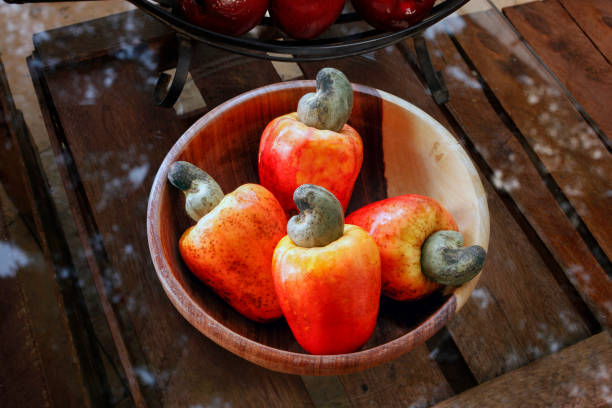 میوه خوری سنگ مصنوعی معماری الهام گرفته مدیترانه ای