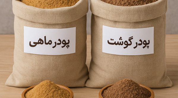 تصویر 4 از پودر گوشت خالص با کیفیت بالا
