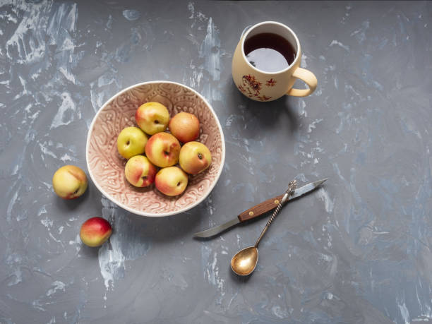 تصویر 4 از میوه خوری سنگ مصنوعی مفهومی هنرمندانه نمایشگاهی