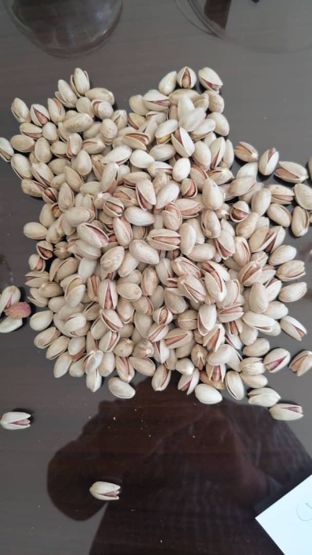 تصویر 1 از پسته اکبری لوکس با مغز بسیار درشت و ظاهر کشیده