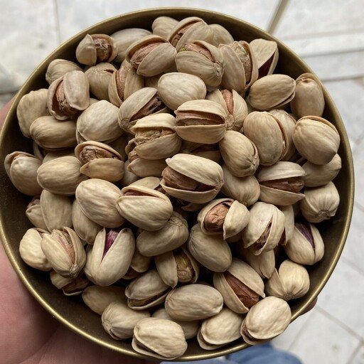 پسته اکبری تازه برداشت شده با عطر طبیعی و طعم عالی