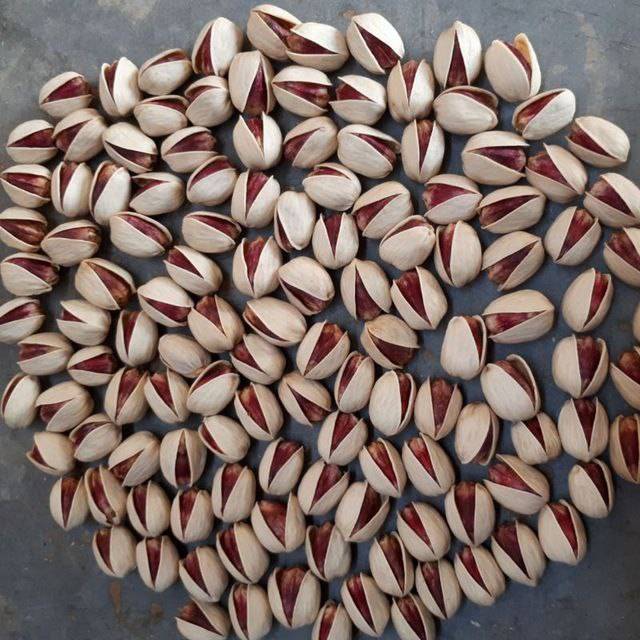 تصویر 4 از پسته اکبری تازه برداشت شده با عطر طبیعی و طعم عالی