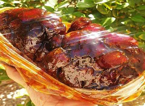 خرما کبکاب ارگانیک با بسته بندی بهداشتی ویژه صادراتی