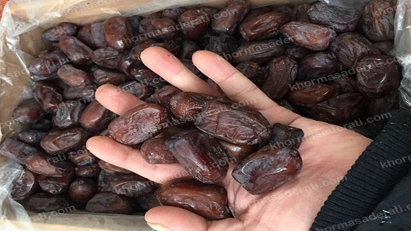 فروش خرما مضافتی صادارت درجه یک جیرفت