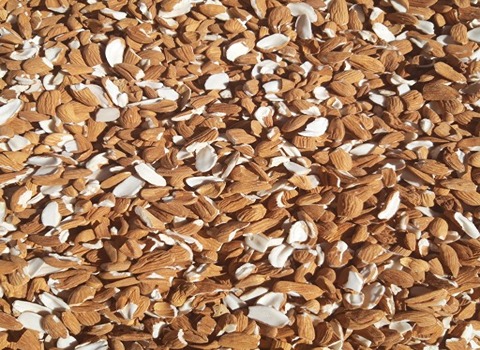 تصویر 1 از مغز بادام درختی شکسته + عمده