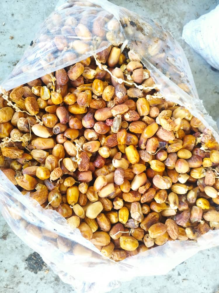 خرید خرمای ضایعاتی عمده با قیمت مناسب