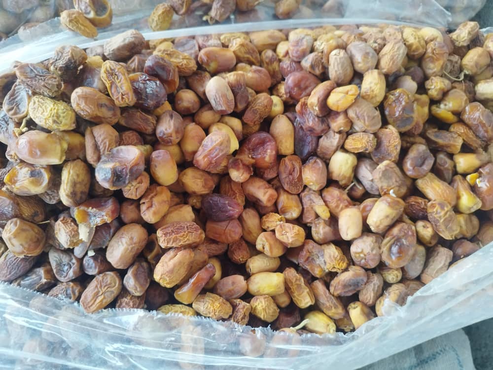 خرید خرمای ضایعاتی عمده با قیمت مناسب