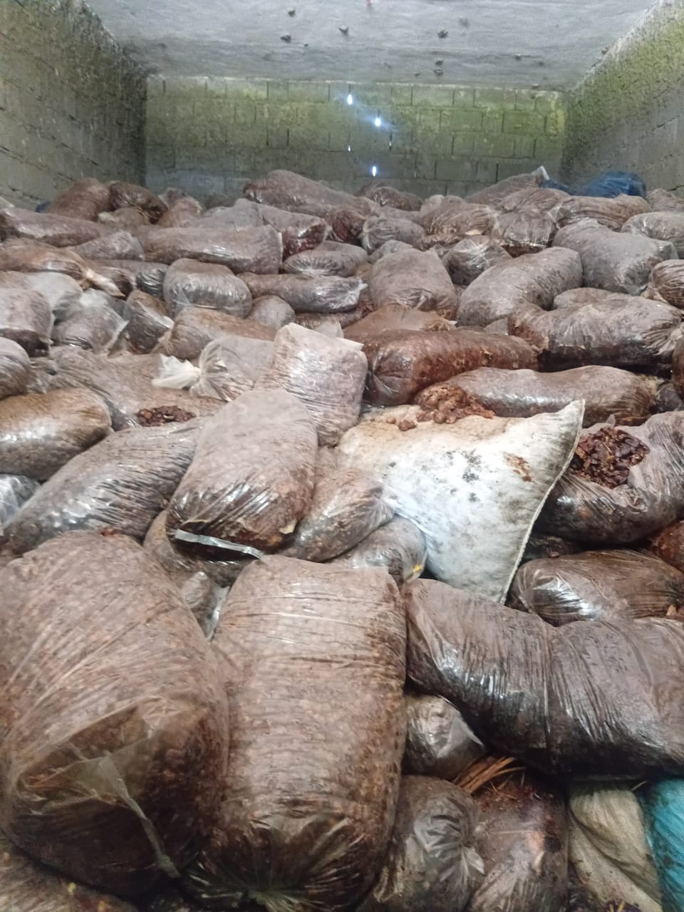 قیمت روز خرمای ضایعاتی عمده در ایران