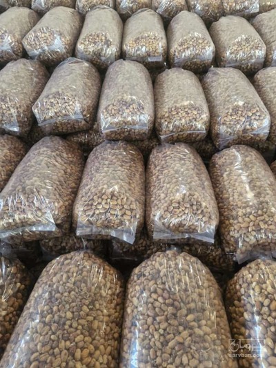 خرمای ضایعاتی مناسب الکل سازی و خوراک دام