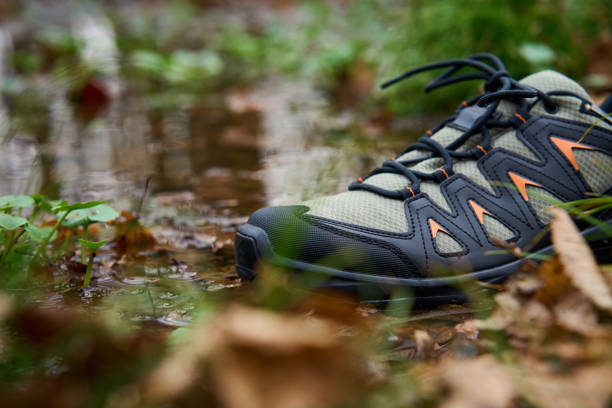 تصویر 2 از کفش ورزشی سالومون فنی طبیعت گردی