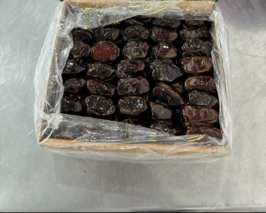 تصویر 2 از خرما کبکاب عمده + منبع غنی فیبر و مواد معدنی