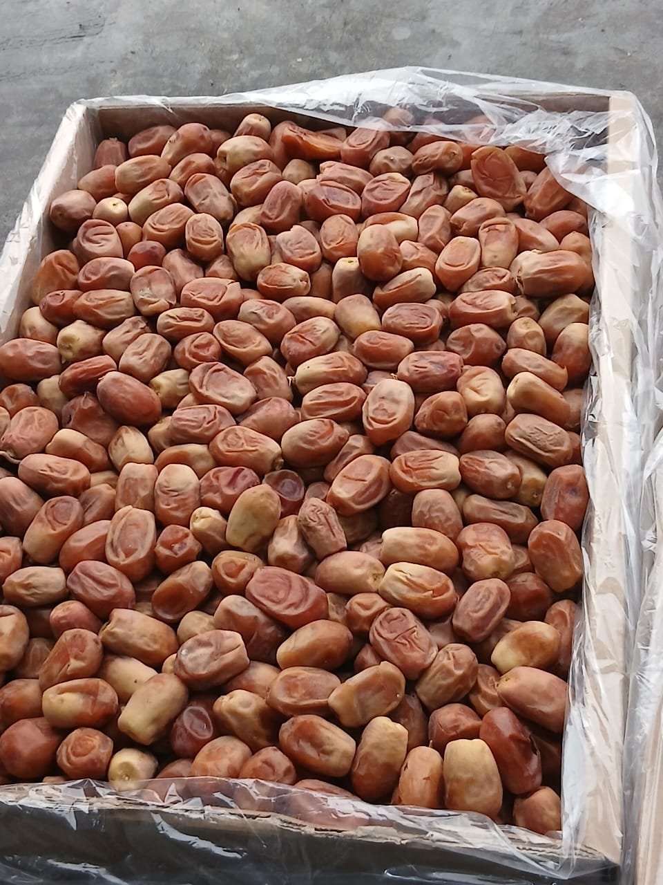 تصویر 3 از خرما زاهدی درجه یک فراشبند داخلی صادراتی تناژ نامحدود