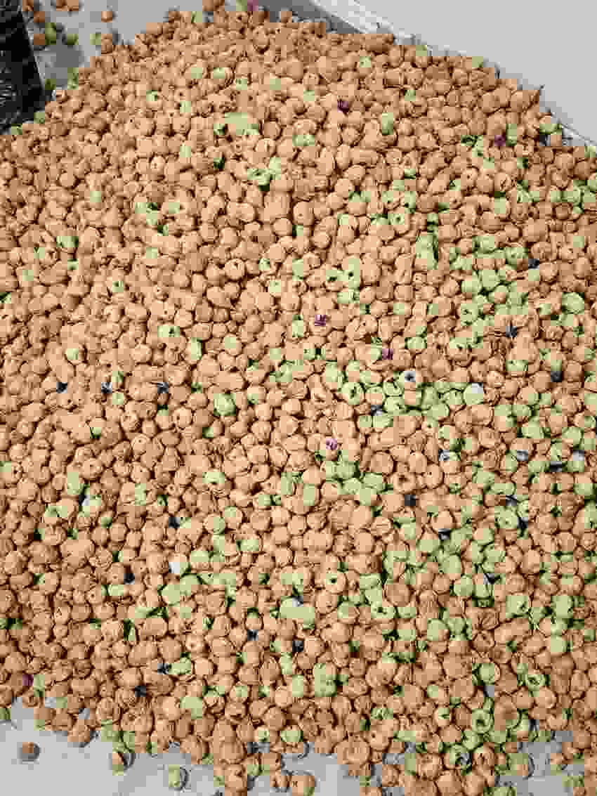 تصویر 4 از خرید عمده انجیر خشک ضایعاتی + قیمت مستقیم تولید کننده