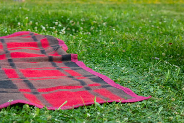 تصویر 2 از پتو الیاف ویژه سازگار پوست حساس